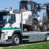 1 2 oprijfm 28 80 met az 95e lv 1 kopieren
