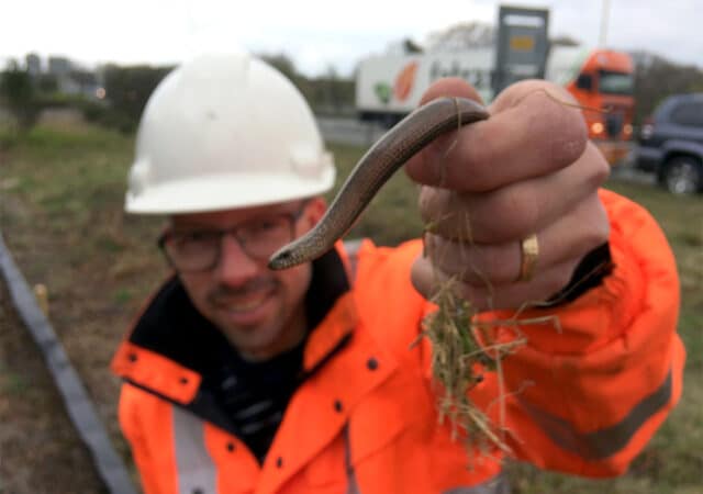 ecologische begeleiding kopiëren