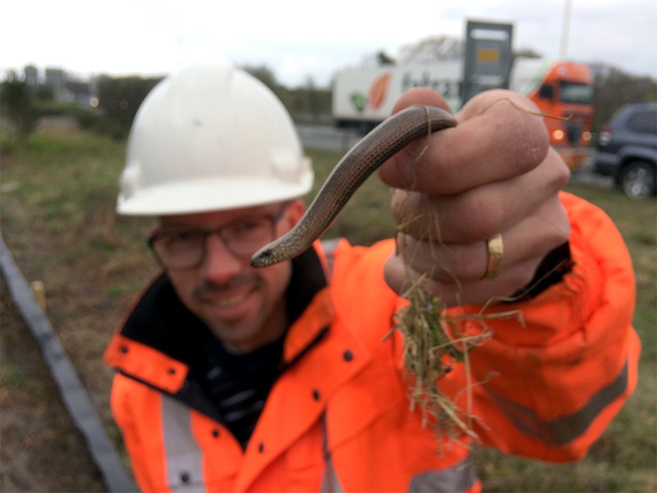 Staro Natuur en Buitengebied – voor de juiste balans tussen ecologie en economie