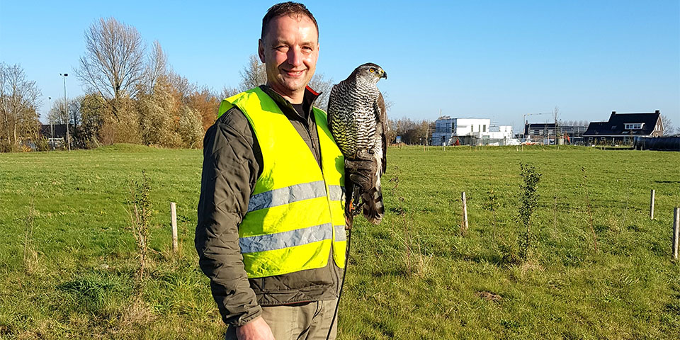 Specialist in brood prevention and brood-free (construction) sites