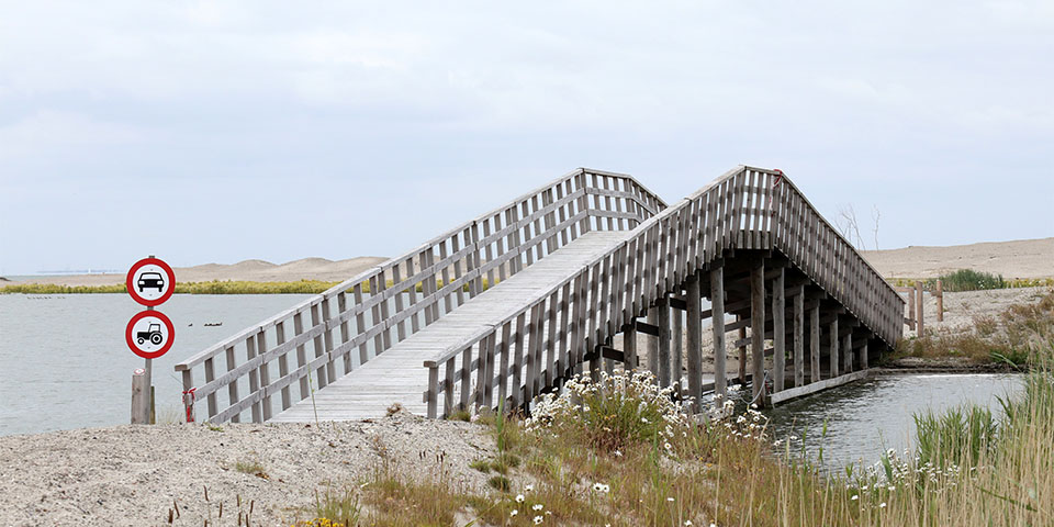 Nature paradise at Marker Wadden