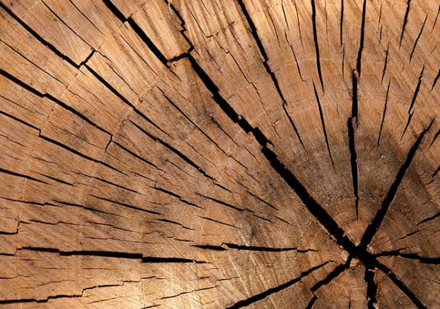 lumber 84678 1920 kopieren