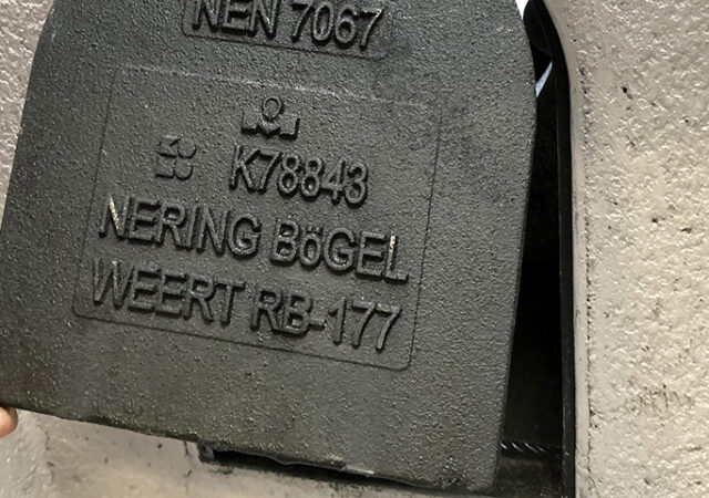 neringbogel 1 img 6033