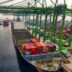 4 Trends in contractlogistiek die de toekomst van supply chains bepalen 3