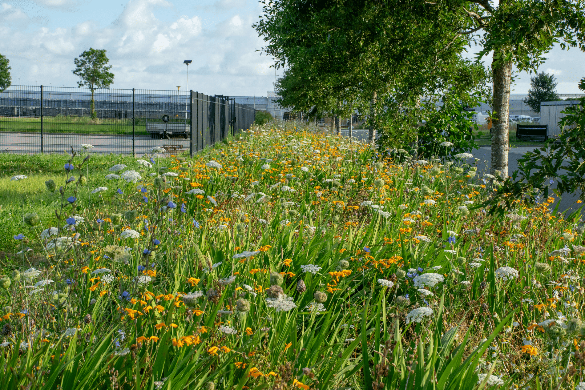 Kansen voor toekomstbestendige distributiecentra 1