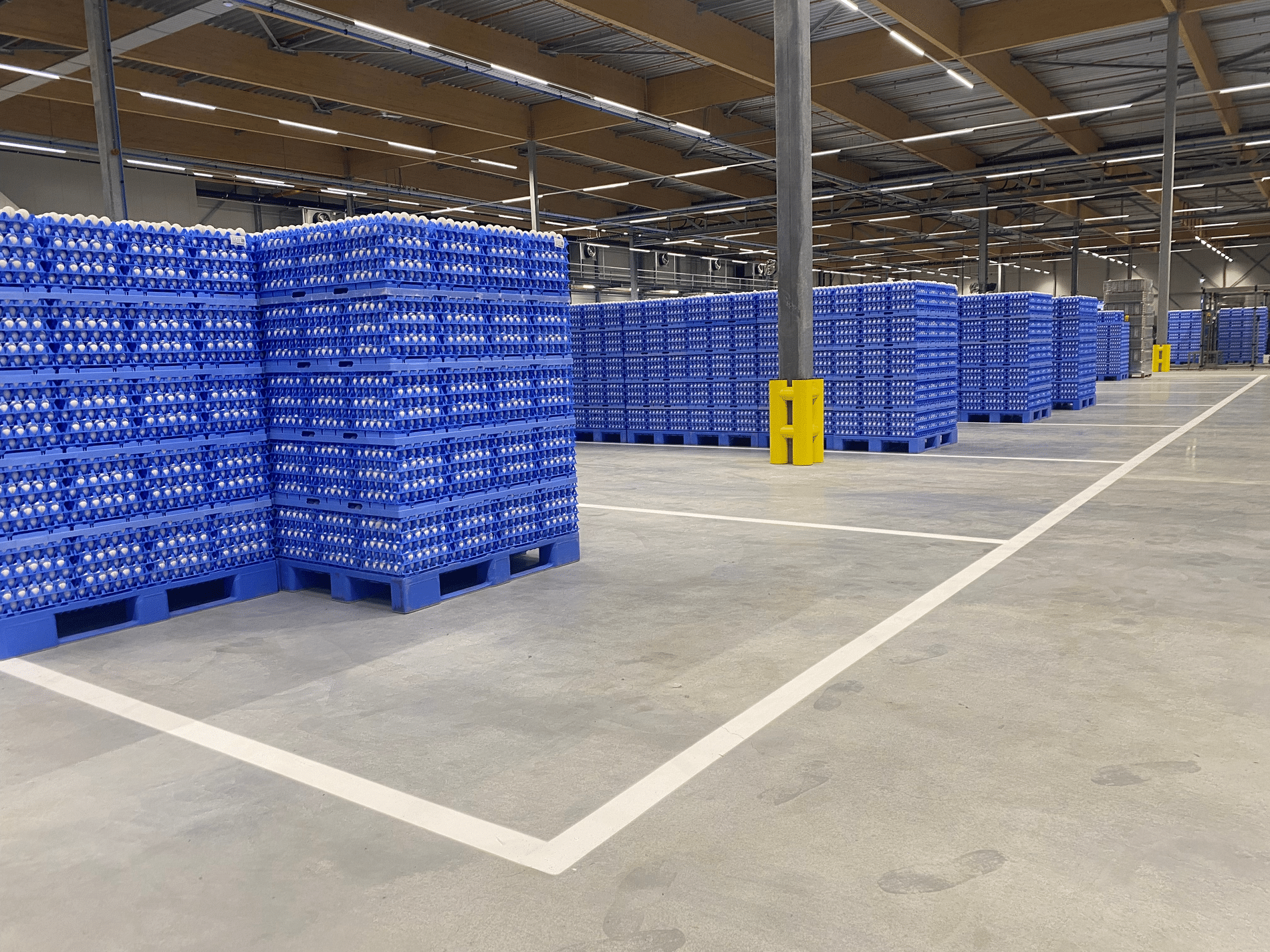 Aanrijdbeveiliging en belijning leidt tot veiliger en gestructureerder werken 4